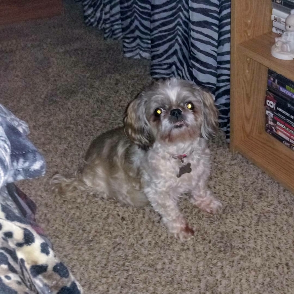 Meet your Posher, Angel - Picture 2 of 5